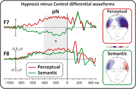 Frontiers | Now You See One Letter, Now You See Meaningless Symbols:  Perceptual and Semantic Hypnotic Suggestions Reduce Stroop Errors Through  Different Neurocognitive Mechanisms