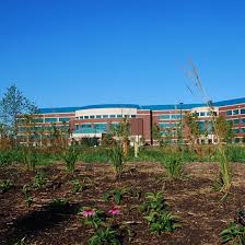 O other matters relating to your health. Aurora Medical Center Grafton Aurora Health Care