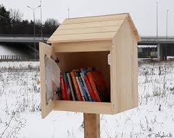 Outdoor Shared Library Lending Neighborhood Sidewalk Loan Etsy Classic Doors The Neighbourhood Little Library