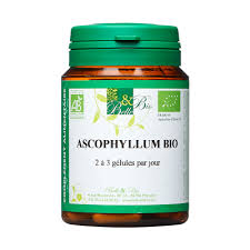 Ascophyllum Bio Bruleur Graisse Perte De Poids Graisse
