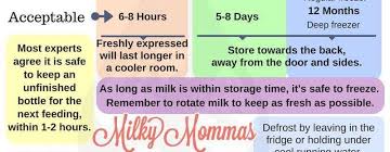 Storage Of Breast Milk Milky Mommas