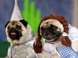 Pugs Dressed As Movie Characters For Halloween Dog Costumes Pet Costumes Dog Halloween Costumes