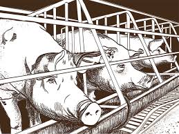Din motive de diferențiere tipologică, limba română mai este numită în lingvistica comparată și limba dacoromână sau dialectul dacoromân. Endlich Freiheit Fur Die Tiere Bund E V