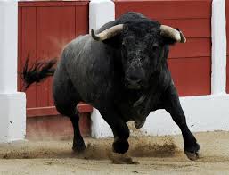 Va Toro Bull Painting Bull Images Animal Paintings