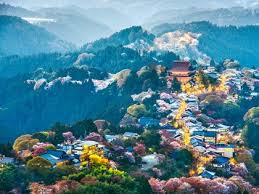 Image result for japan