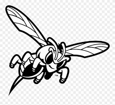 Decorate your laptops, water bottles, helmets, and cars. Delaware State Hornets Logo Black And White Delaware State University Hornets Logo Clipart 3667023 Pinclipart