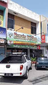 5,564 likes · 6 talking about this · 163 were here. Humaira Pet Shop Gelugor Penang Facebook