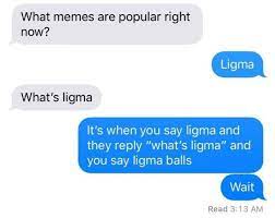 18 Ligma Memes That'll Keep You From Ever Asking 