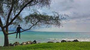 Gelombang tinggi nelayan kulonprogo rugi jutaan rupiah. Pantai Bugel Foto Lokasi Rute Harga Tiket Fasilitas
