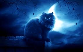 Cat wallpapers, backgrounds, images— best cat desktop wallpaper sort wallpapers by: Http Www Wallpaperup Com Uploads Wallpapers 2013 01 11 28471 D7ee6c9fceade4596686aec75dcb7d62 Jpg Cat Wallpaper Animals Warrior Cats