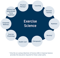And heading back to college online has the added benefit of allowing you to participate in. Undergraduate On Campus And Online Exercise Science Degrees And Strength And Conditioning Undergraduate Certificate Edwards Campus