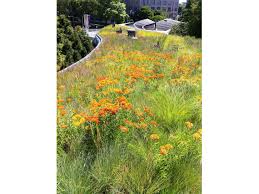 Maybe you would like to learn more about one of these? Brooklyn Botanic Garden Visitor Center Greenroofs Com