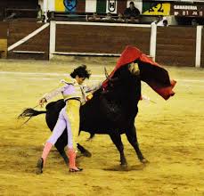 FRANCO SALCEDO TORERO... - Eventos Taurinos Ecuador | Facebook