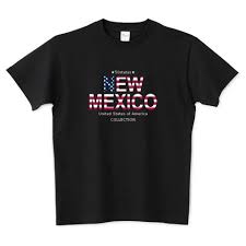 アメリカtシャツ ニューメキシコ州 new mexico tシャツ 5 6オンスtシャツ printstar tシャツ デザイン tシャツ オリジナルtシャツ