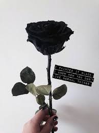 Pink floyd things left unsaid (the endless river 2014). Romantic Blood Lust Tour Posts Facebook