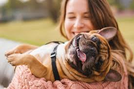 Industry:veterinarian pet grooming & ret pet supplies, veterinary svcs. Pet Boarding In Katy Tx Circle B Veterinary Hospital