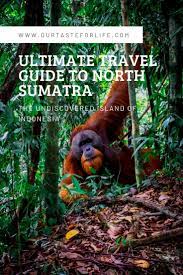 Backpacking Sumatra Itinerary Travel Guide 2020 Our Taste For Life Sumatra Asia Travel Travel Obsession