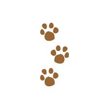 Black And White Paw Print Puppy Clipart Pet Paw Prints Clip Art Muddy Animal Tracks Graphic Liked On Polyvore Featuring Fillers Animals Backgroun Pet Paw Print Paw Print Clip Art Dog Paw Drawing