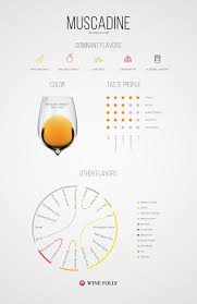 A Brief Guide To The Amazing Muscadine Wine Vin Alcool Cave A Vin