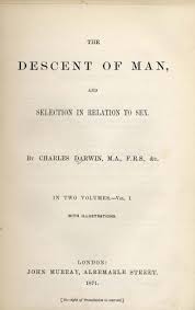 Examples of decent in a sentence. The Descent Of Man And Selection In Relation To Sex Wikipedia