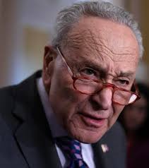 Amidst immense backlash for losing control of Senate Democrats, Chuck  Schumer tries to focus blame