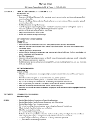 Life Underwriter Resume Samples Velvet Jobs