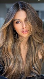 Sophisticated Hair Colour Ideas for a Chic Look : Brown Hair with Subtle  Sun-Kissed