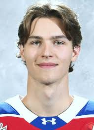 Rhys Pederson Hockey Stats and Profile at hockeydb.com