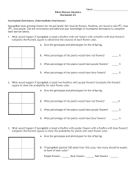 Progress review (pages 30 & 31) 1 1 scary 5 2 up 7 became 3 left 8 had 4 become 9 get 5 married workbook 2 answer key photocopiable © oxford university press 5 2 started 6 had 3 did; Bikini Bottom Genetics Worksheet Nidecmege