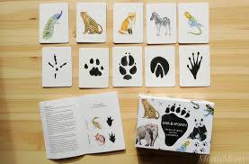 Der winter bietet sich besonders an, um tierspuren zu identifizieren. Wilden Tieren Auf Der Spur Montessori Blog Shop Montiminis