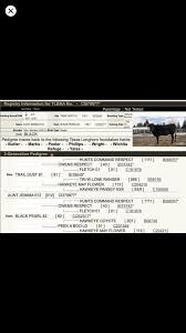 Pin By Monica Spaulding On Business Parentage Refugee Wichita