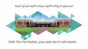 Research prices, neighborhood info and more on explore neighborhoods on trulia. Dubai Birds And Pets Market Shops Location Timings More Mybayut