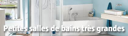 Préférez le meuble vasque au lavabo sur colonne. Idees D Amenagement Pour Petites Salles De Bain Bauhaus Suisse