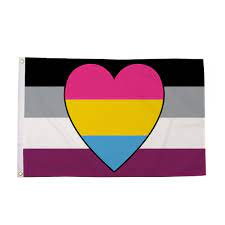 Read demisexual panromantic from the story pride flag hand book by reignbow_memes (gay disaster) with 3,215 reads. 5 Asexual With Panromantic Heart Pride Flag
