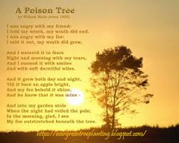 Evergreen Tree Planting Tree Of Life Quotes And Sayings