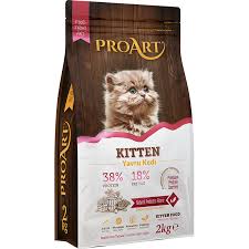 yavru kedi mamasi proart