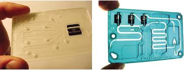 Most credit card companies let you make payments using the following four methods. Credit Card Sized Lab Cards Based On Microfluidic Technology Are Download Scientific Diagram