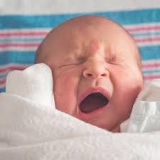 Stillstreik Dein Baby Will Nicht An Die Brust Milchwiese Milchpumpen Mieten Schone Dinge Fur Gross Und Klein