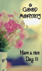 06 june 2016 good morning 早上好 good morning quotes good morning love good morning tuesday