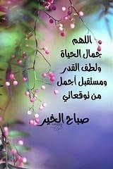 صور صباحية ليدي بيرد Morning Greeting Morning Images Morning Wish