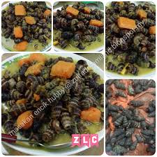 Check spelling or type a new query. Resepi 1 Kilo Siput Lemak Cili Padi Resepi Siput Sedut Masak Lemak Cili Padi Pedas