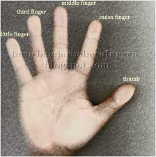 Jari manis updated their profile picture. Jari Manis In English