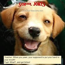 School Jokes Teacher When You Ya