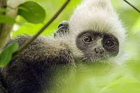 Plus d'information sur allocine montagnes aux îles les plus reculées, de la savane africaine à l'océan arctique.un documentaire exceptionnel pour mieux comprendre que chaque jour compte davantage de tragédies et de récits enchanteurs qu'on ne peut imaginer… Jaquette Covers Un Nouveau Jour Sur Terre Earth One Amazing Day Par Richard Dale Peter Webber Fan Lixin