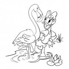 It seems like he is taking a break from his circus shows.there is nothing better than learning and coloring at the same time. Top 10 Flamingo Coloring Pages For Toddlers
