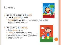 Chapter 14 Demonstrative Pronouns