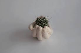 Download jumping cactus images and photos. Hand Cactus Gif By Lucia Parias Find Share On Giphy