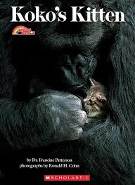 Koko S Kitten A Reading Rainbow Book 1985 Oregontrailgen Koko Kitten Kitten Reading Rainbow