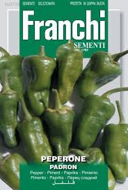 Padrón peppers fried in olive oil and. Padron Chilli Pepper Peperone Padron Dbo Guerilla Seeds