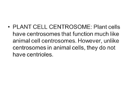 We did not find results for: Centrioles The Centrosome And The Centrioles Animal Cell Centrosome The Centrosome Also Called The Microtubule Organizing Center Is An Area In The Ppt Download